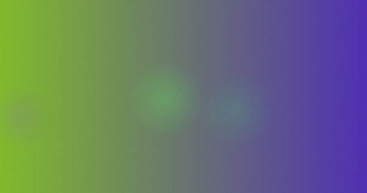 欧美8888推荐：新手入门